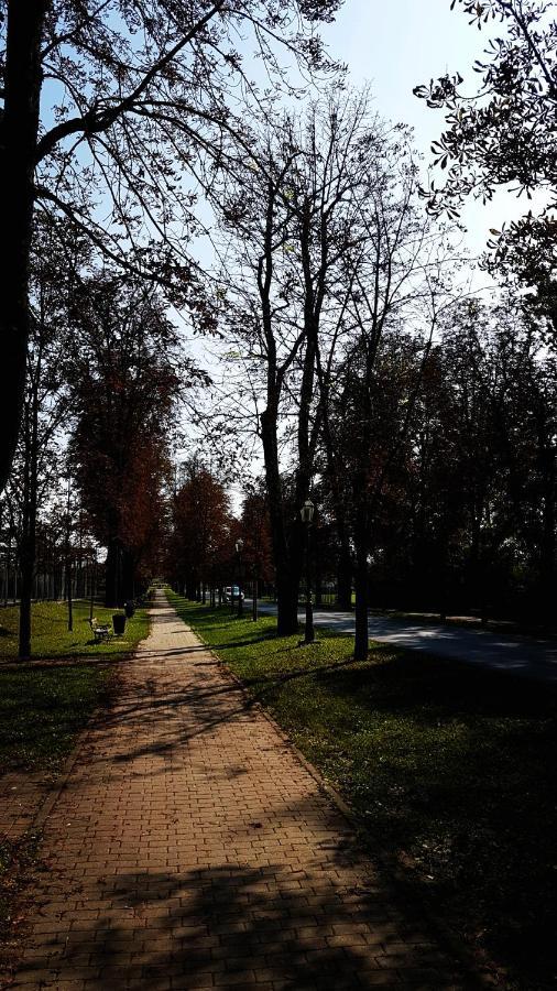 Apartment Zagy Blue Zagrzeb Zewnętrze zdjęcie